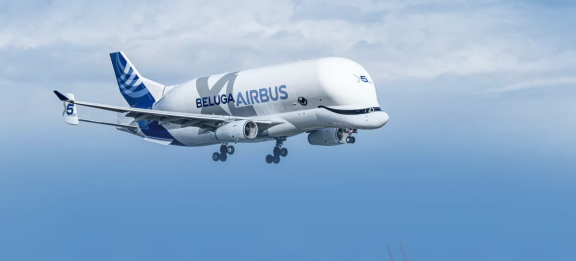 Beluga XL